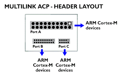 multilink acp header layout